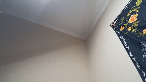 Adonis online show from 28, 2, 2025