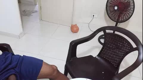 Snapshot of lacasadelosmunecosbq chatting on 2, 6, 2026 Bruno Smith online show from 2, 6, 2026
