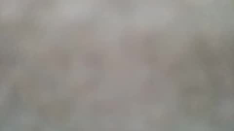 laceyflower online show from 26, 1, 2025