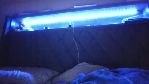 Stephanie online show from 24, 2, 2025