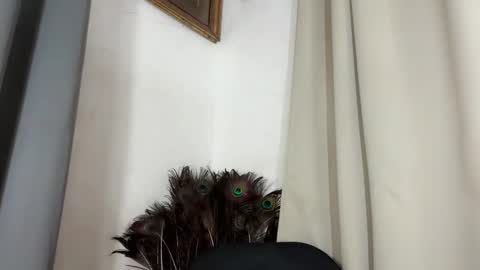 ladylollipop_marls online show from 10, 3, 2026