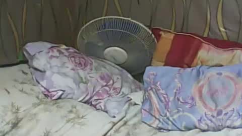 LadyXSnakes online show from 7, 2, 2025