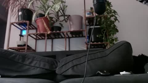 Snapshot of laidback_and_chill chatting on 11, 12, 2024 Rick online show from 11, 12, 2024