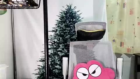 Snapshot of lailai6699 chatting on 12, 9, 2025 lailai6699 online show from 12, 9, 2025