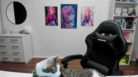 Kira online show from 17, 12, 2024