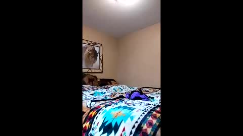 langederek2 online show from 26, 3, 2026