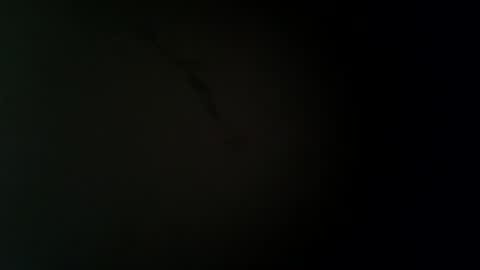 Snapshot of larry009 chatting on 22, 12, 2025 larry009 online show from 22, 12, 2025