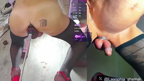 Sophia online show from 11, 3, 2025