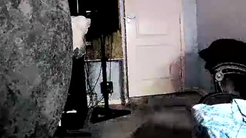 latexchris77 online show from 5, 2, 2026