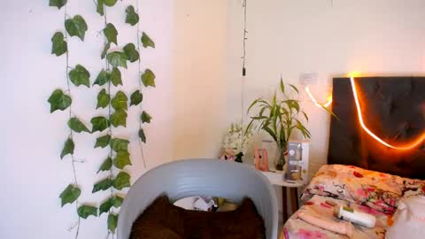 LAURA online show from 19, 5, 2026