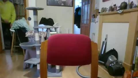 lauratedomm online show from 8, 3, 2026