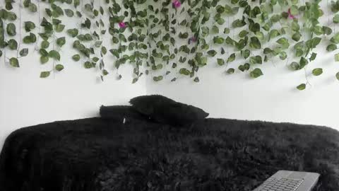 laurensmith9 online show from 27, 3, 2026