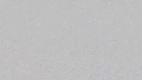 Layana online show from 19, 2, 2026