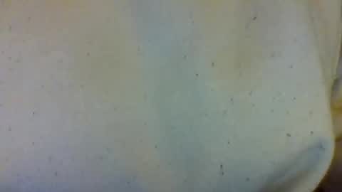 Snapshot of layannalea chatting on 13, 2, 2026 layannalea online show from 13, 2, 2026