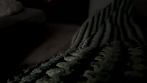 lc6173 online show from 15, 12, 2025