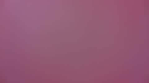 Michel online show from 17, 1, 2025