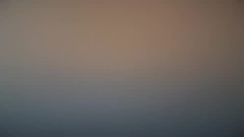 Michel online show from 7, 3, 2025