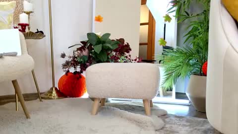 ledy mary online show from 8, 11, 2025