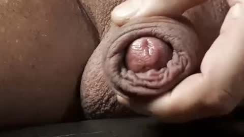 legofactory online show from 13, 2, 2025