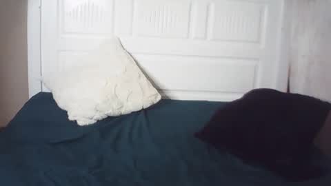 lenah6 online show from 10, 3, 2026