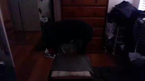 Snapshot of lennyfife chatting on 23, 2, 2025 Pussylicker online show from 23, 2, 2025