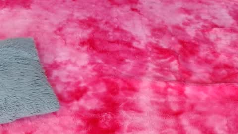 LUCY online show from 11, 12, 2024