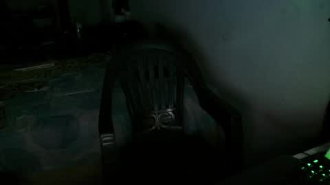 leonino231 online show from 14, 4, 2026