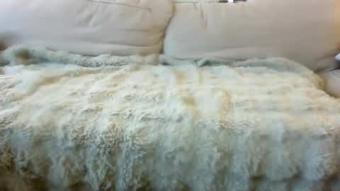 Bills Mafia online show from 24, 4, 2026