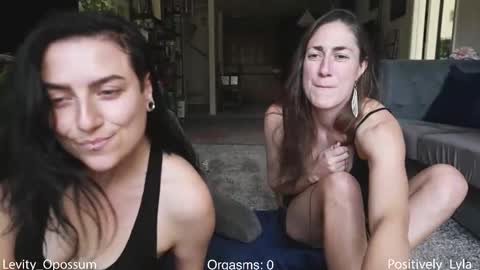 Levity online show from 5, 3, 2026