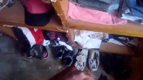 lewiskip online show from 17, 11, 2025