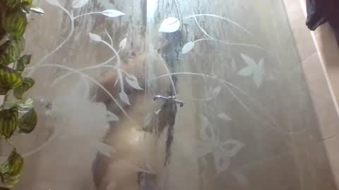 Snapshot of leyla_horny_bg chatting on 22, 12, 2025 leyla_horny_bg online show from 22, 12, 2025