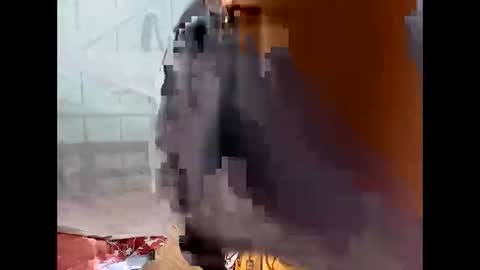 Lia online show from 5, 1, 2025