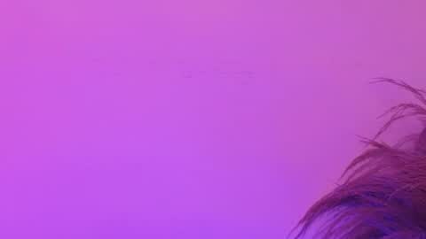 Snapshot of liabell_ chatting on 30, 6, 2026 Lia Bell online show from 30, 6, 2026