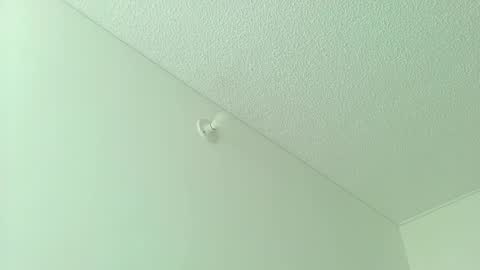 lian_y_dilan online show from 2, 4, 2026