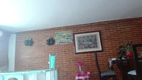 Snapshot of liarouse04 chatting on 17, 5, 2026 Liarouse04 online show from 17, 5, 2026