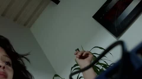 Snapshot of liarysmaag17 chatting on 8, 12, 2024 liarysmaag17 online show from 8, 12, 2024