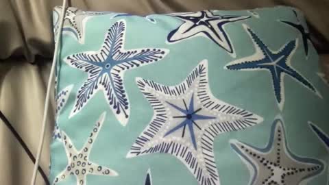 likefhot online show from 17, 11, 2025