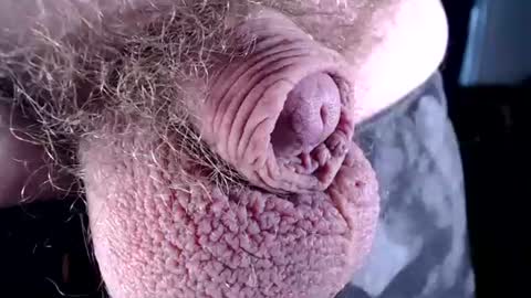 Snapshot of lildickbigbelly chatting on 6, 7, 2026 lildickbigbelly online show from 6, 7, 2026