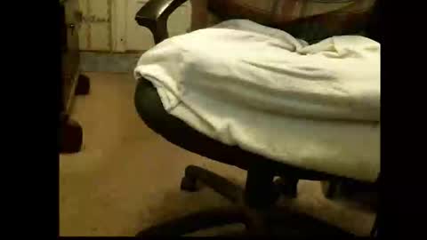 Snapshot of lile_luvit chatting on 1, 3, 2026 Sasquatch online show from 1, 3, 2026