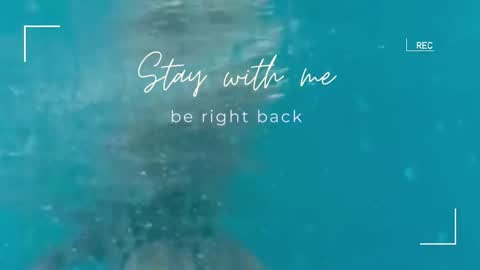 Lily online show from 1, 11, 2025