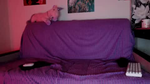 Lily Litle online show from 8, 12, 2024