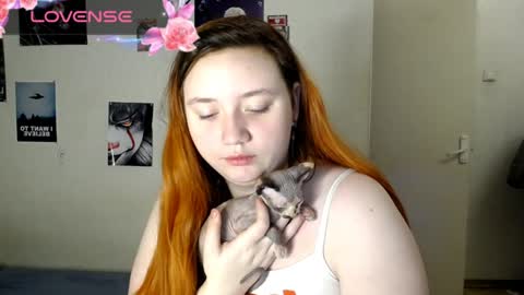 Alice online show from 31, 12, 2024