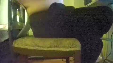 lilylovelyman50 online show from 22, 6, 2026