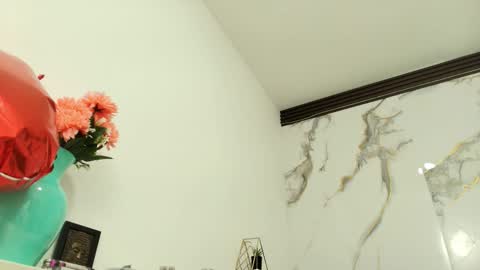 Snapshot of lindsey8 chatting on 1, 3, 2026 Lindsey online show from 1, 3, 2026