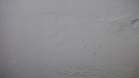 lisa_branch online show from 23, 11, 2025