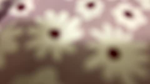 Snapshot of litos666 chatting on 24, 2, 2026 litos666 online show from 24, 2, 2026