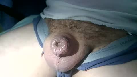 littlepecker1980 online show from 12, 11, 2025