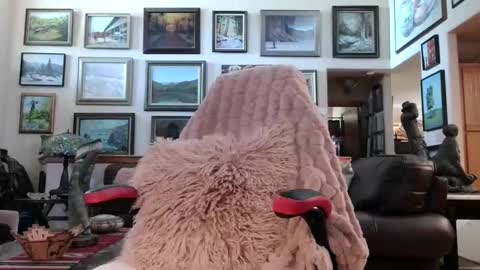 Snapshot of littlepistol chatting on 18, 5, 2026 Miss D Shows Mon Wed Fri online show from 18, 5, 2026