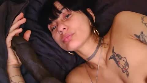 Lola Midnight online show from 11, 4, 2026