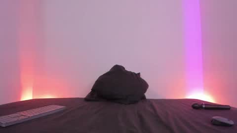 Lola online show from 5, 1, 2025